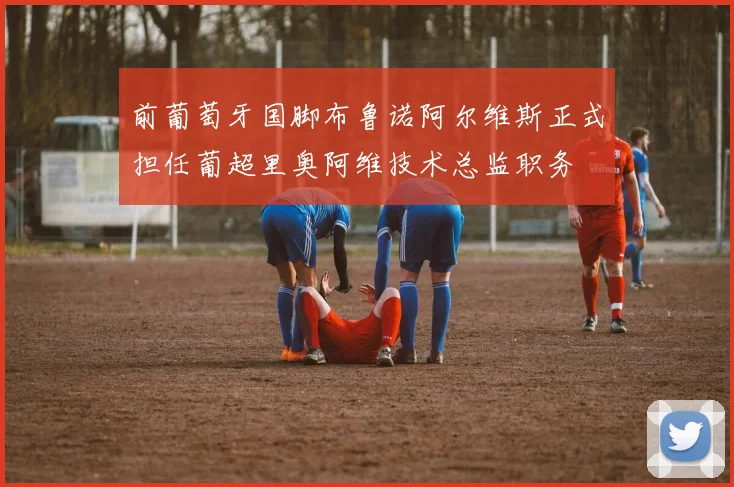 前葡萄牙国脚布鲁诺阿尔维斯正式担任葡超里奥阿维技术总监职务