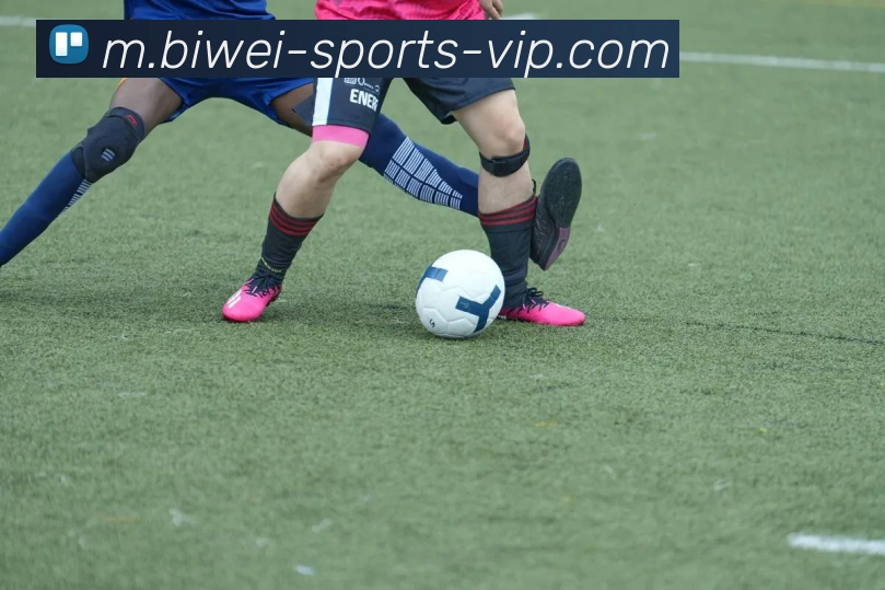 必威体育APP 高清赛事图